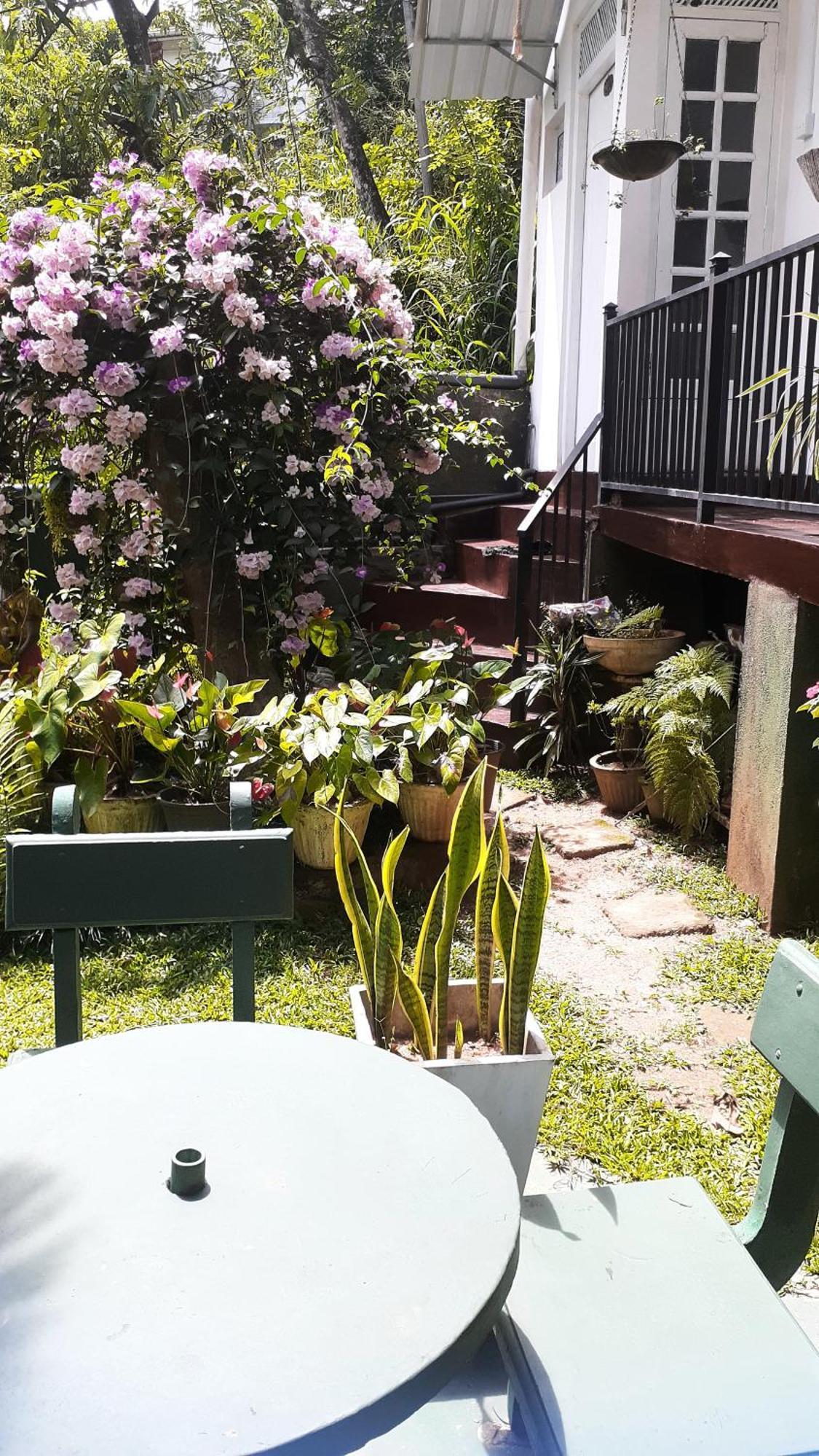 Kandy Mountain Cottage Екстер'єр фото