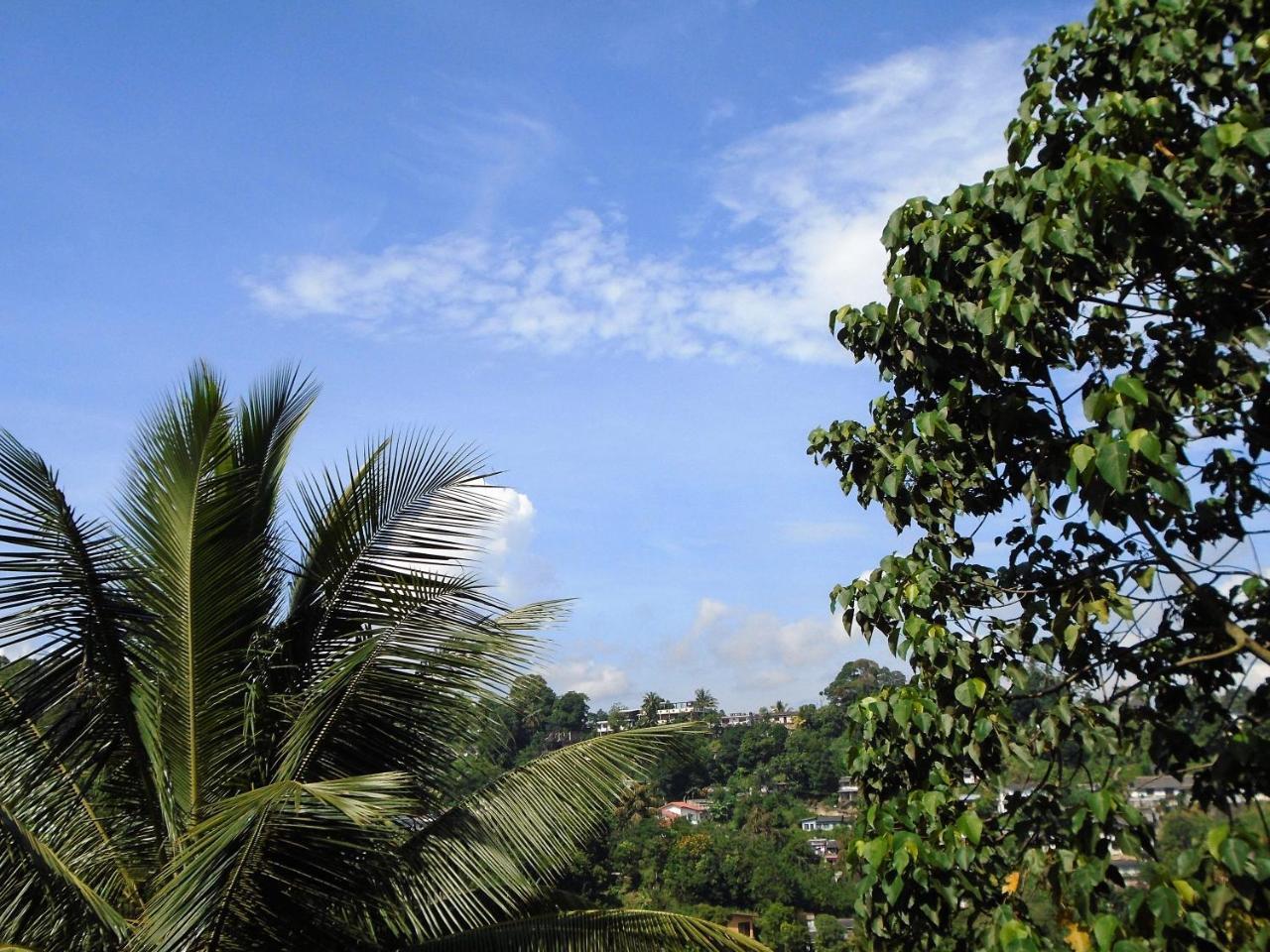Kandy Mountain Cottage Екстер'єр фото